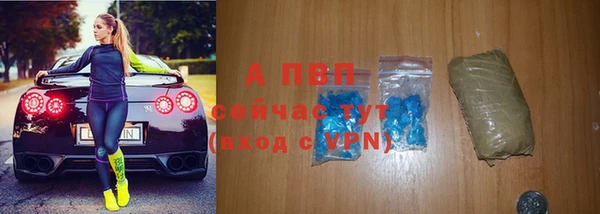 каннабис Богданович