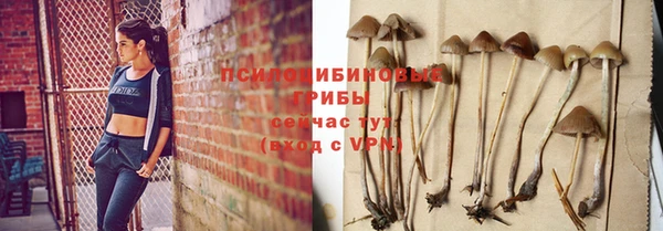 прущая мука Богородск