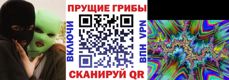 Галлюциногенные грибы Psilocybine cubensis  Череповец 